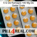 5 G De Kamagra 100 Mg De Gelée Orale levitra2